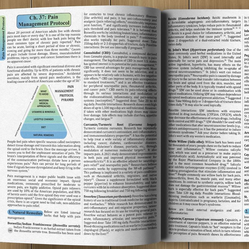 The Holistic Guide to Wellness: Herbal Protocols for Common Ailments — image 4