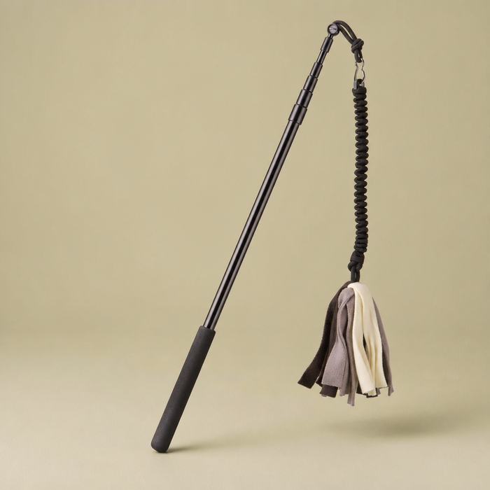 Flirt Pole with Lure