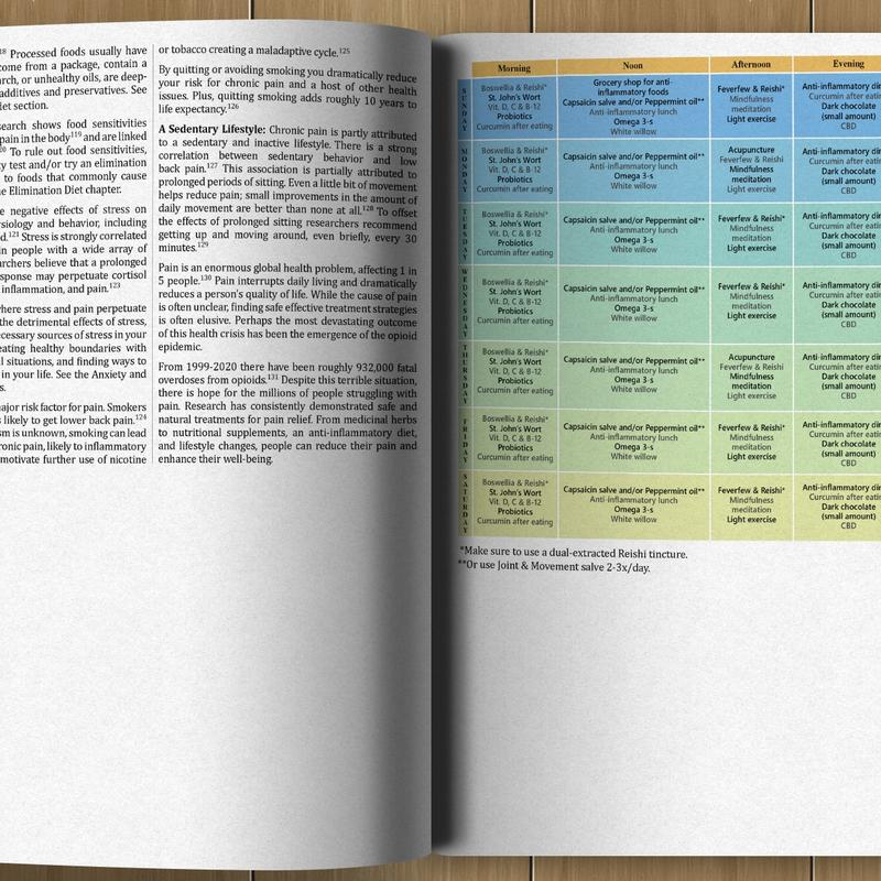 The Holistic Guide to Wellness: Herbal Protocols for Common Ailments — image 5