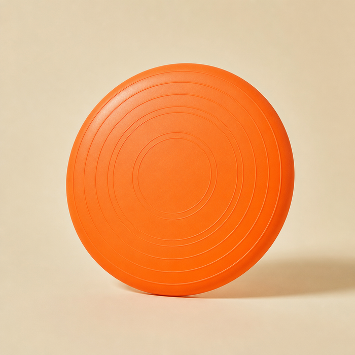 Floating Rubber Frisbee