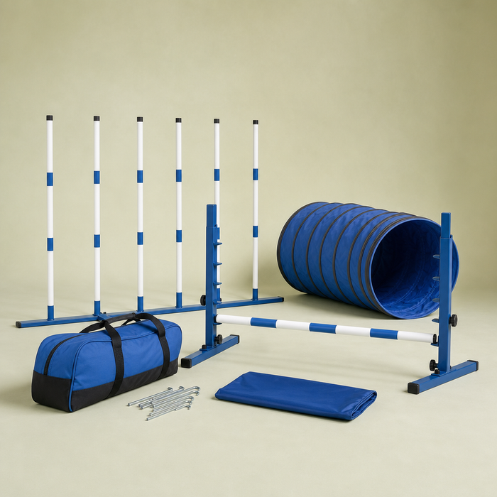 Backyard Agility Starter Kit