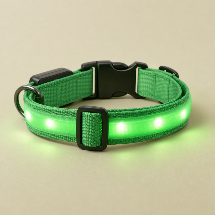 Rechargeable LED Safety Collar